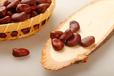 复古GB掌机“Analogue Pocket”将于12月13日开始发货